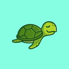 I Like Turtles!