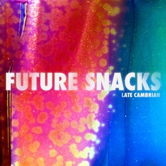 Late Cambrian - Future Snacks LP