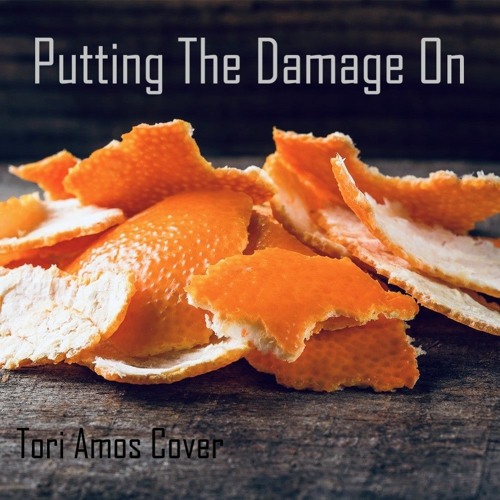 Stream Putting The Damage On (Tori Amos Cover) by Lili la Tigresse