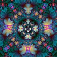 Dying Wish November 22nd