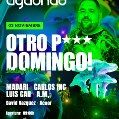 MADARI NOVIEMBRE 2025