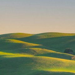 LawnGreen-110
