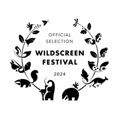Official Selection 2024 Rules & Guidelines