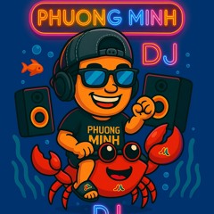 NST - ANH EM ĐỨC HÒA ĐÔNG VOL2 - PHUONGMINH MIX