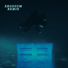LUNCH - Billie Eilish (ERGOSUM Remix)