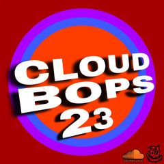 CLOUD BOPS 23