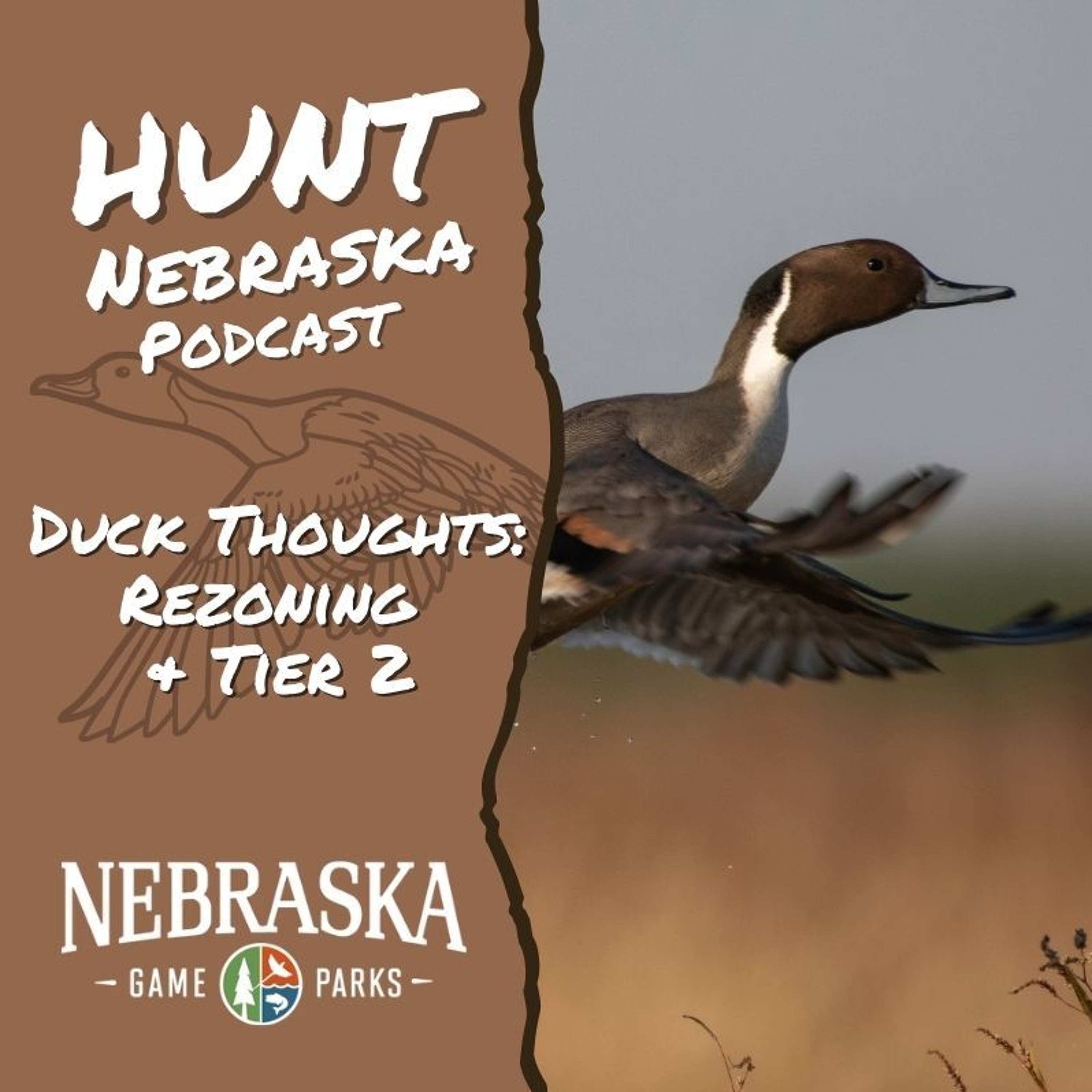 Duck Hunting: Zones & Tiers