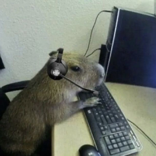 Capybaras but it's lofi hip hop (reupload)