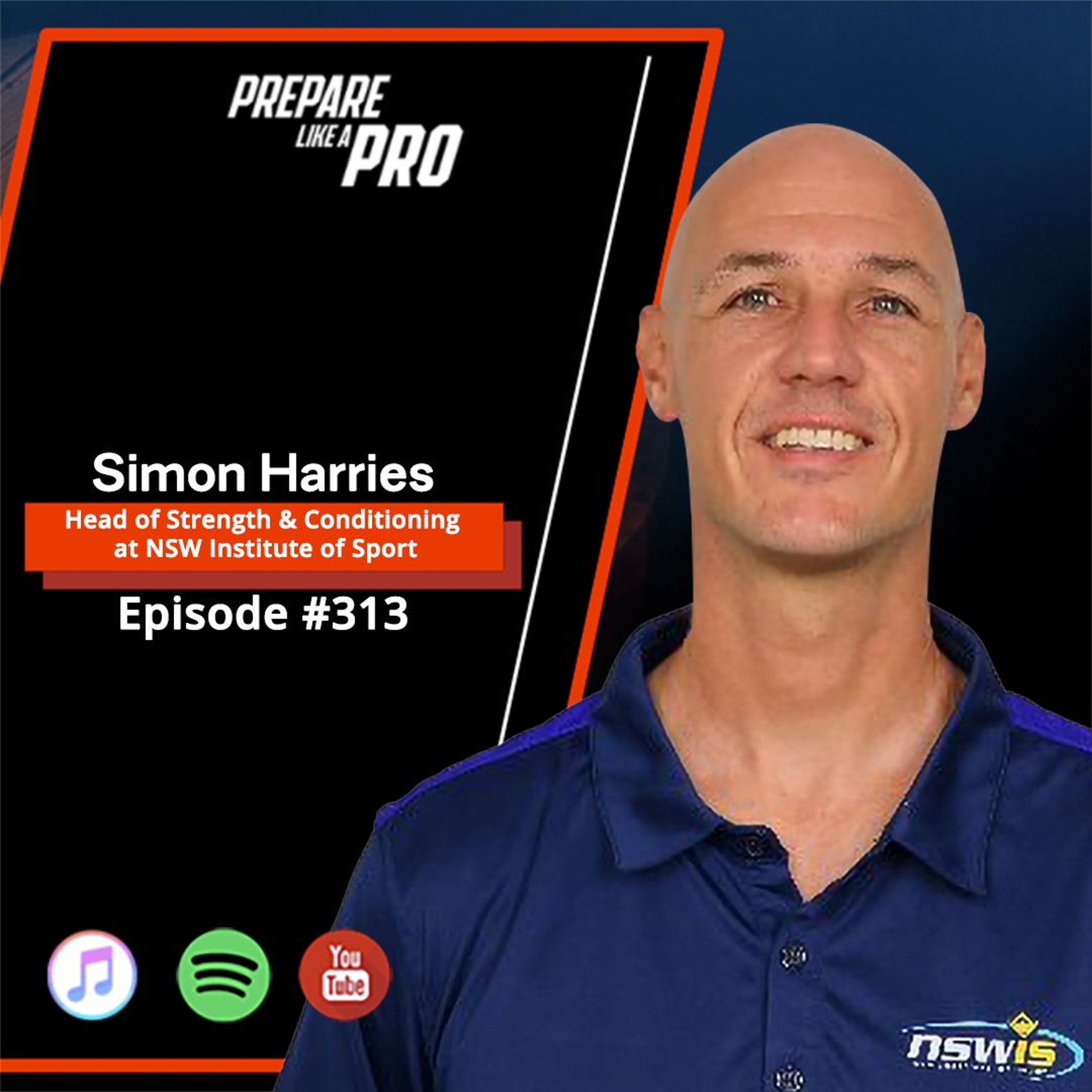 #313 - Simon Harries Back on Track: The Complete Guide to Rehab Running Success episode artwork