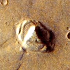 The Starship's Young Prodigy