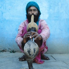 Snake Charmer