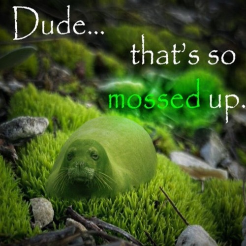 spaceship (prod. wayziss)