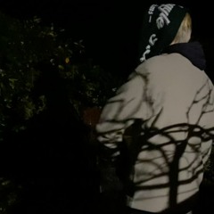 shadewalking {prod. a haunted house}