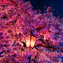 百花繚乱 prod.by.F.F.Beats サブスク配信中