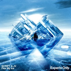 SCRIPT & DAMEN - Flex My Ice (Extended Mix)