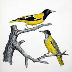 T13 Prod. by EW-Mark