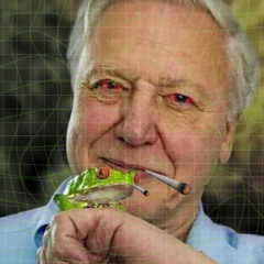 Attenborough On A Sesh - Voodoo