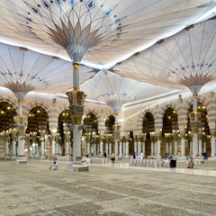 ﴿إن المسلمين والمسلمات والمؤمنين والمؤمنات…﴾ تجلي إمام المسجد النبوي أحمد بن طالب لسورة الأحزاب