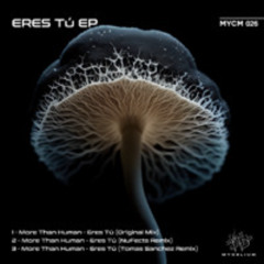 More Than Human - Eres Tú (Original mix)