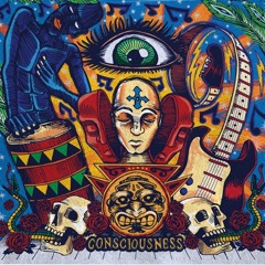 Sunlight (Through Bird's Feathers)