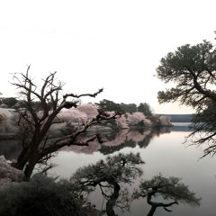 unravel.彼女は偽善的に行動している。