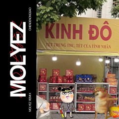 CHIẾC ĐÈN ÔNG SAO - MOLYEZ REMIX