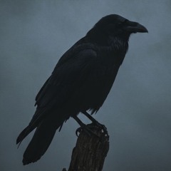 Raven
