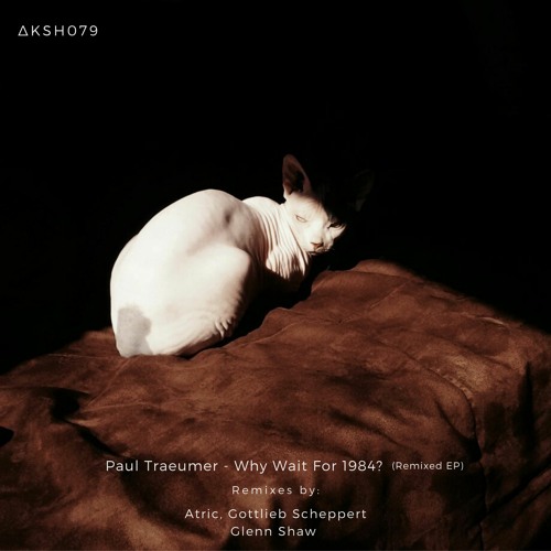 PREMIERE: Paul Traeumer - Panic Now And Avoid The Rush (Glenn Shaw Remix) [AKASHA MX]