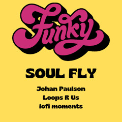 Johan Paulson, Loops R Us & lofi moments - Funky Soul Fly