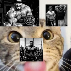 NOISE MAKERS x NEXTIME (ANABOLIC VERSION)