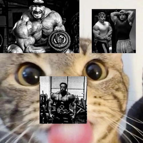 NOISE MAKERS x NEXTIME (ANABOLIC VERSION)