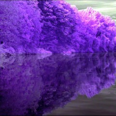 Adult Swim Bump - Purple Dreams 4