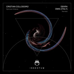 Cristian Collodoro - Xylocopa Violacea