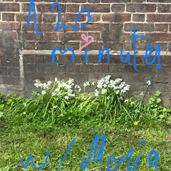 120 minutes / April 2025  / Black Rhino Radio for The Cristea Institute