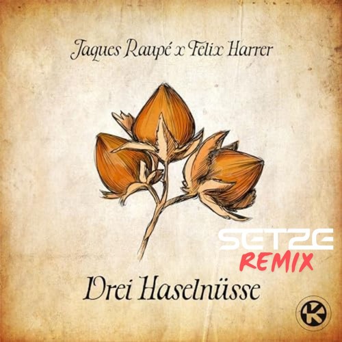 Jaques Raupé & Felix Harrer - 3 Haselnüsse (Setze Bootleg Mix)