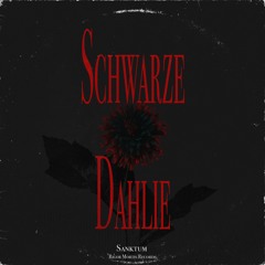 Schwarze Dahlie