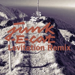 Junk-E-Cat - Levitation Remix