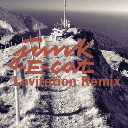 Junk-E-Cat - Levitation Remix