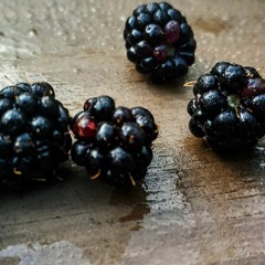 You're love's my drug