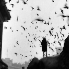 AMARE [directors cut]