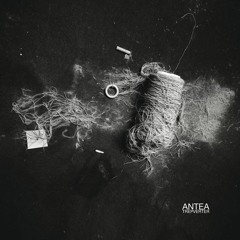 Antea :: Distorted Truth