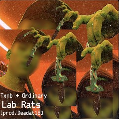 TXNB + ORDJNARY - LAB RATS [PROD. DEAD☣AT☣18]