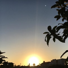 Used To SERS ft EROD TITO