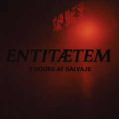 5 hours at Salvaje By ENTITÆTEM