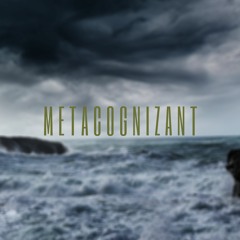 METACOGNIZANT