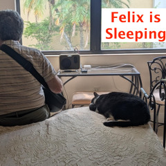 Felix is Sleeping