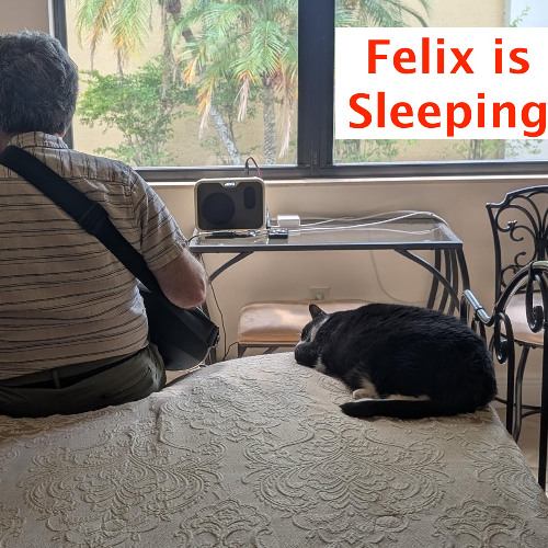 Felix is Sleeping
