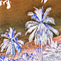 Vamp freestyle prod. Rellim