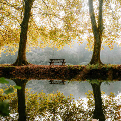 Reunion in Late Autumn