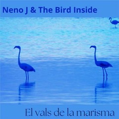 El Vals de la Marisma (collab with The Bird Inside)